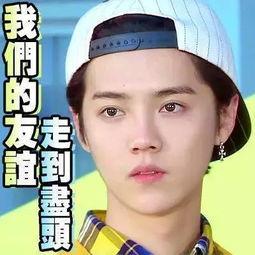 搜狐娱乐明星吃瓜